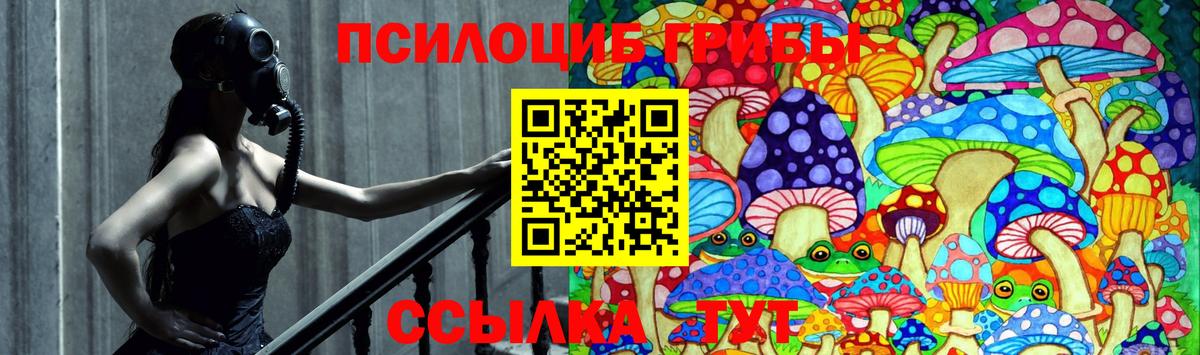 Псилоцибиновые грибы мухоморы  Вход с VPN  где найти наркотики  Горно-Алтайск 